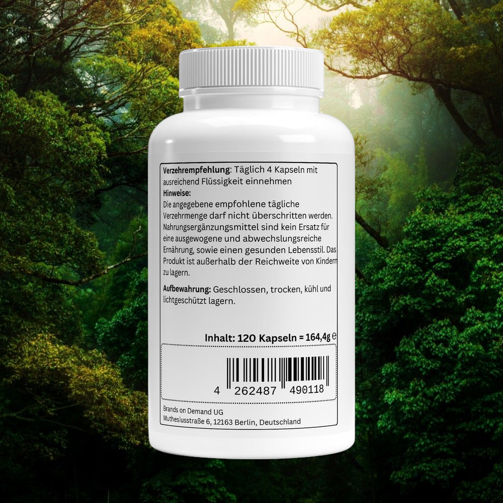 Omega 3 Kapseln