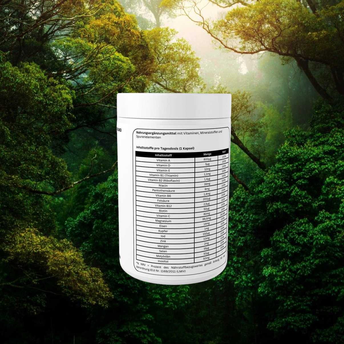 Multi Vitamin und Mineral Komplex - 120 Kapseln
