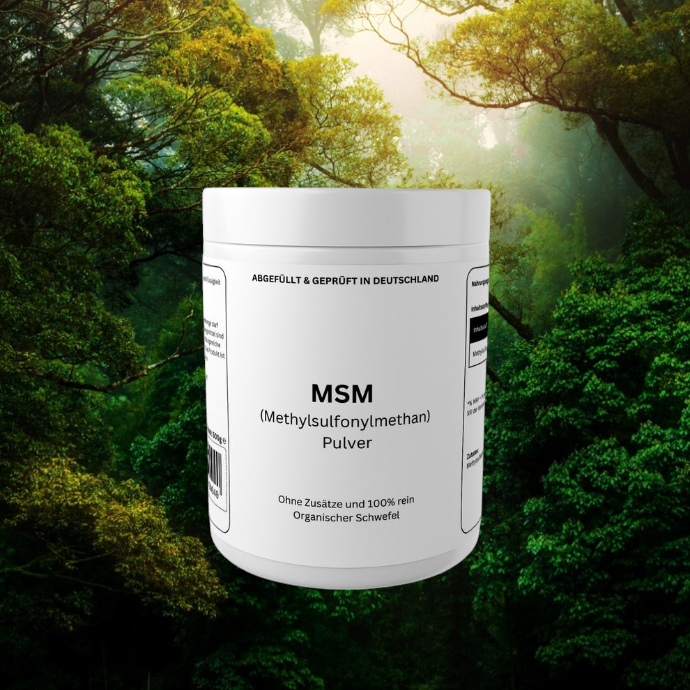 MSM Pulver - 500g