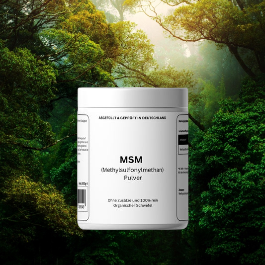 MSM Pulver - 500g