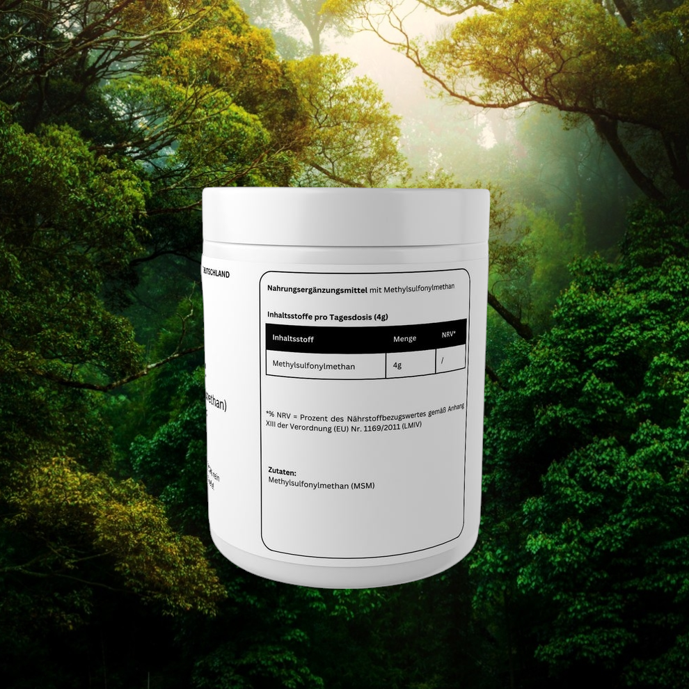 MSM Pulver - 500g