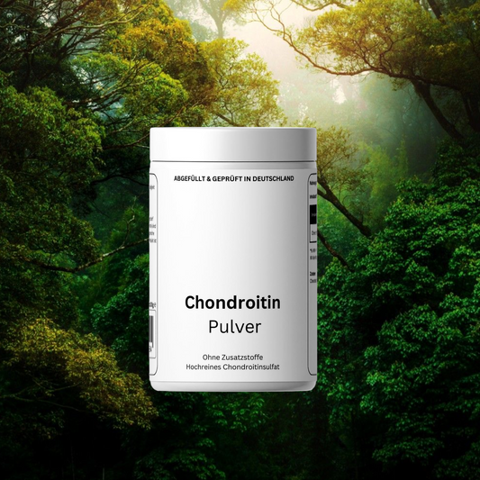 Chondroitin Pulver - 100g
